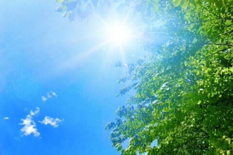 夏は汗ジミが気になる…清潔感のために気を付けたい洋服対策